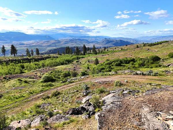 40 Acres of Recreational & Residential Land for Sale in Tonasket, Washington