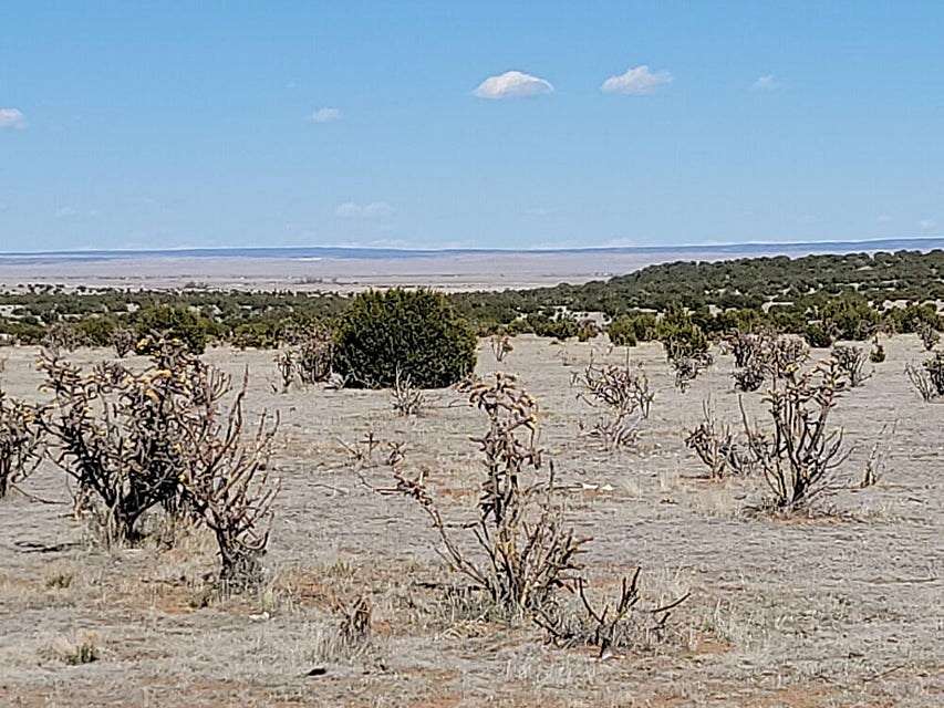 40 Acres of Agricultural Land for Sale in Estancia, New Mexico