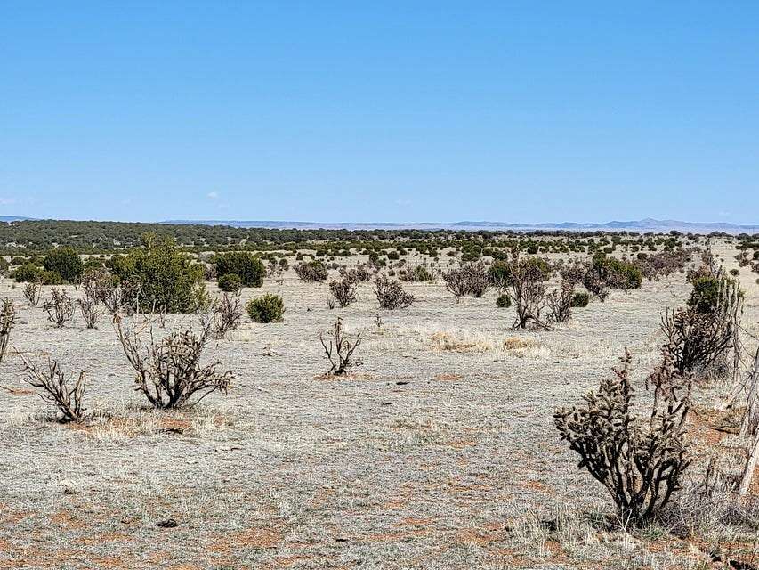 40 Acres of Land for Sale in Estancia, New Mexico