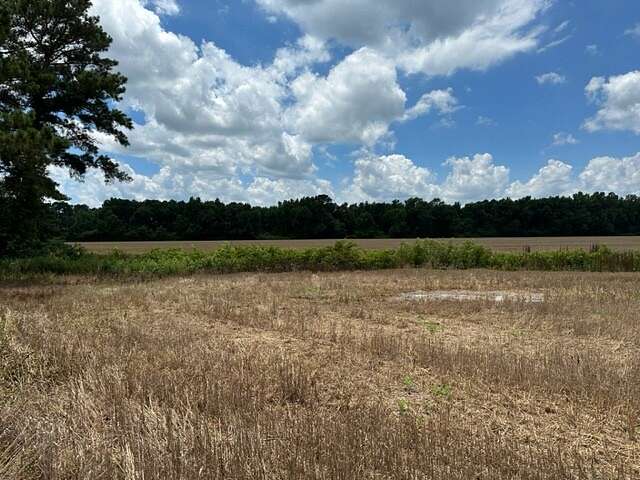 287 Acres of Land for Sale in Hamer, South Carolina