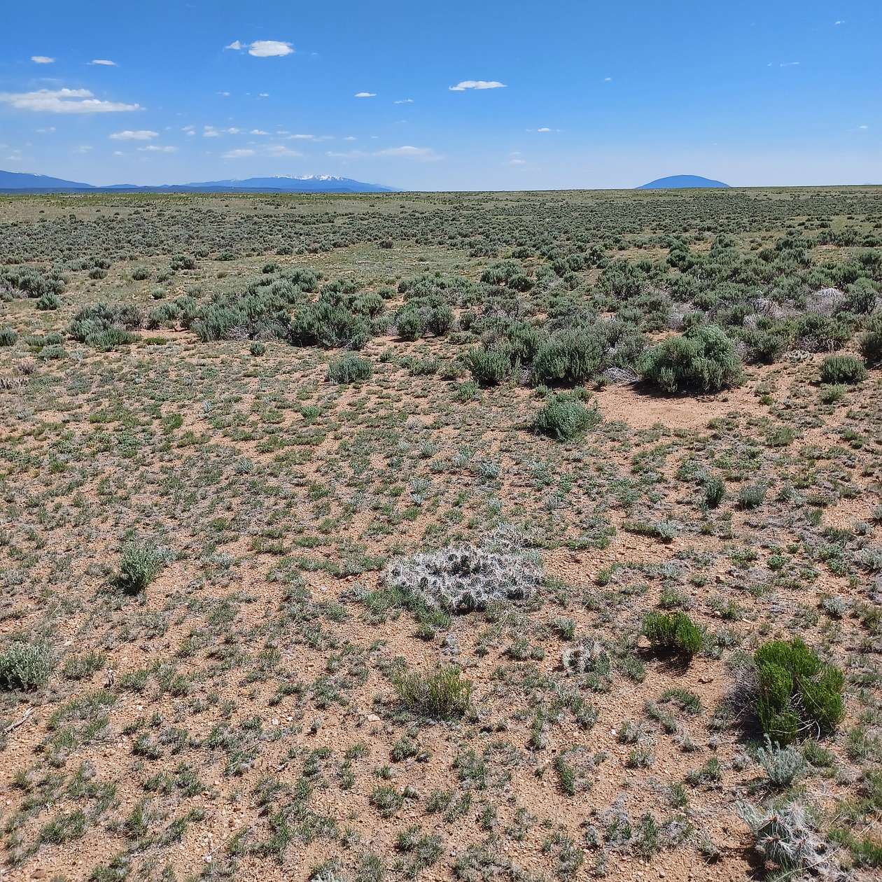 4.9 Acres of Residential Land for Sale in Blanca, Colorado