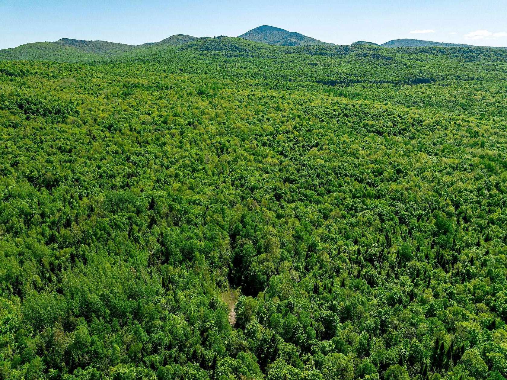 463 Acres of Recreational Land for Sale in Brighton Town, Vermont