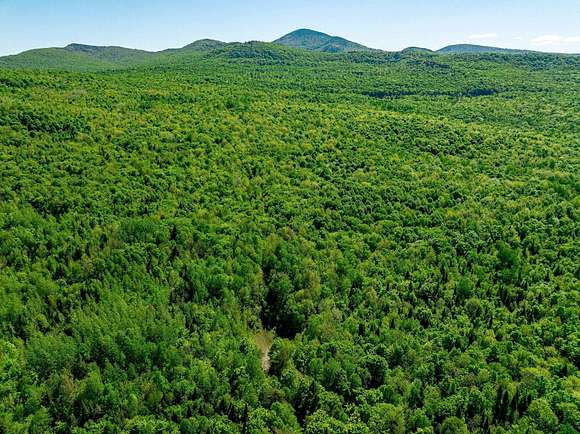 463 Acres Of Recreational Land For Sale In Brighton Town, Vermont 