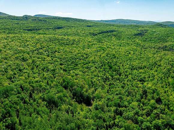 463 Acres of Recreational Land for Sale in Brighton Town, Vermont ...