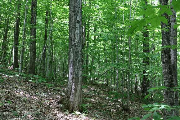 463 Acres of Recreational Land for Sale in Brighton Town, Vermont ...