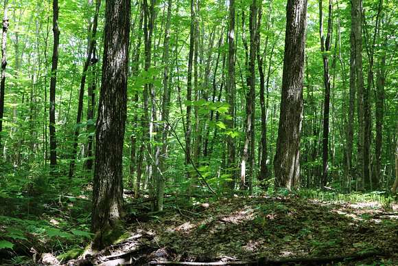 463 Acres of Recreational Land for Sale in Brighton Town, Vermont ...