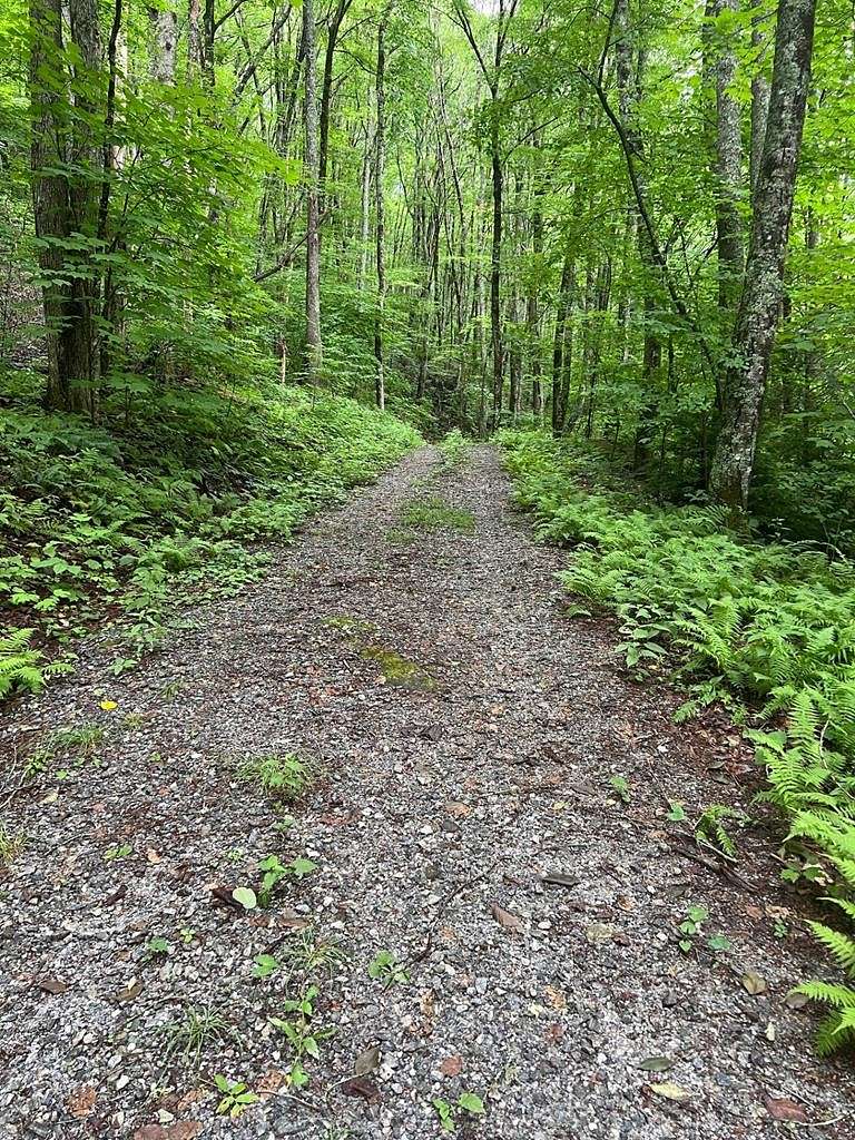 17.83 Acres of Land for Sale in Cashiers, North Carolina