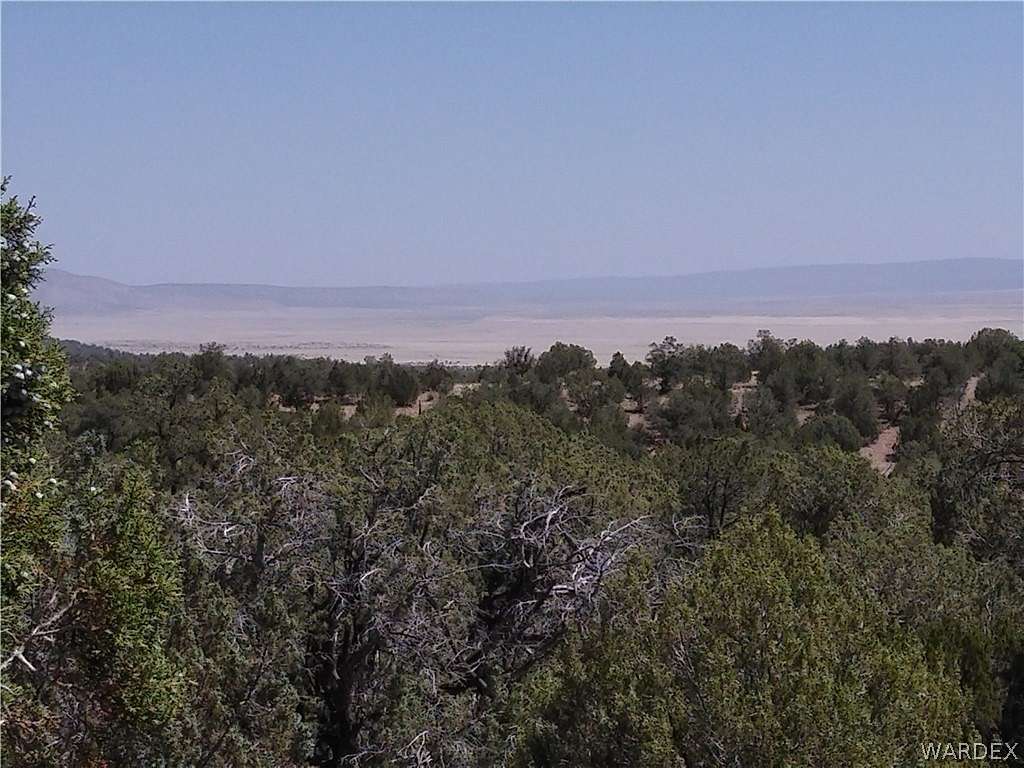 40 Acres of Land for Sale in Seligman, Arizona