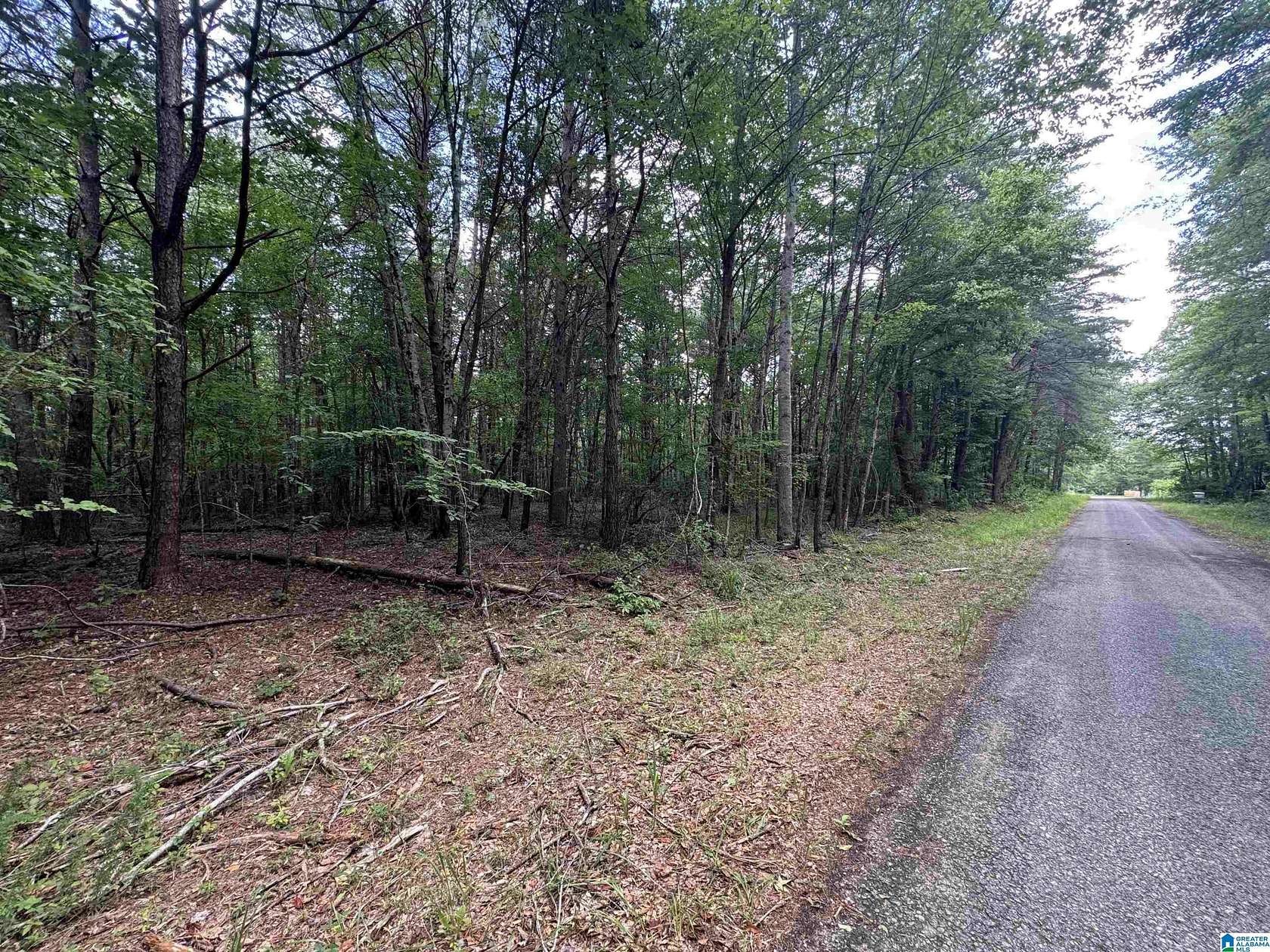 125 Acres of Recreational Land for Sale in Double Springs, Alabama