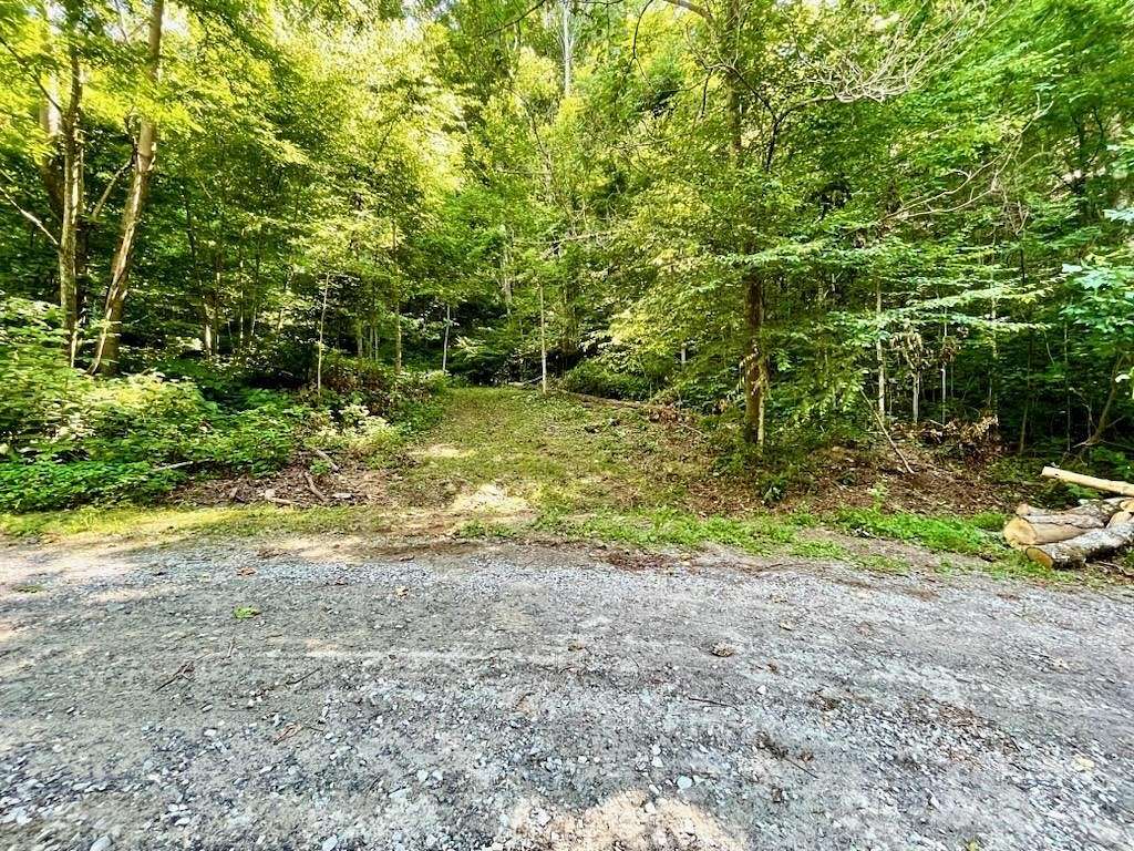 10.02 Acres of Land for Sale in Black Mountain, North Carolina