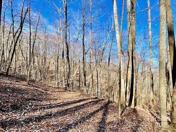 10.02 Acres of Land for Sale in Black Mountain, North Carolina