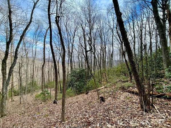10 Acres of Land for Sale in Black Mountain, North Carolina