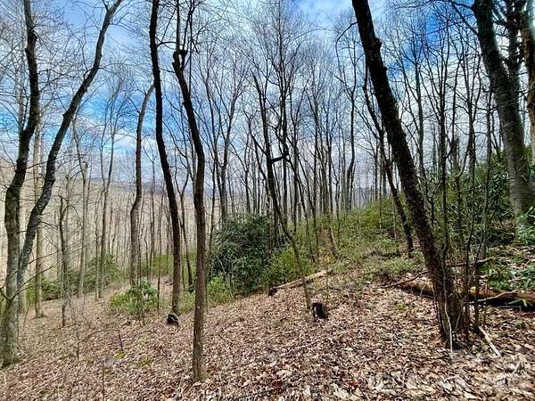 10 Acres of Land for Sale in Black Mountain, North Carolina