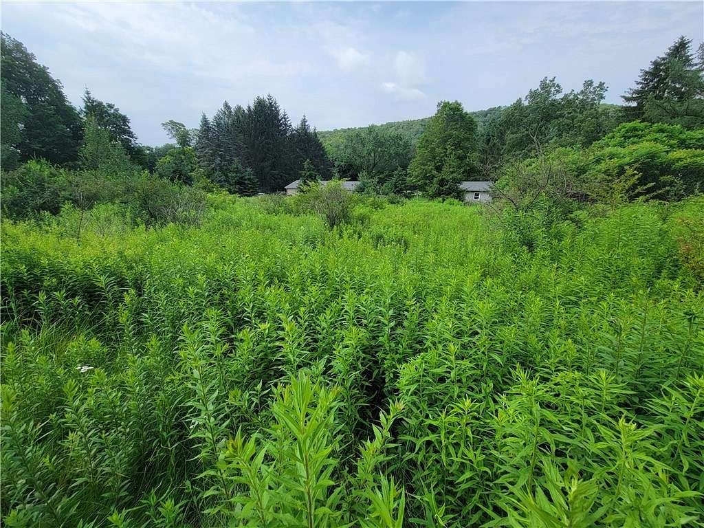 3.04 Acres of Residential Land for Sale in Dryden, New York