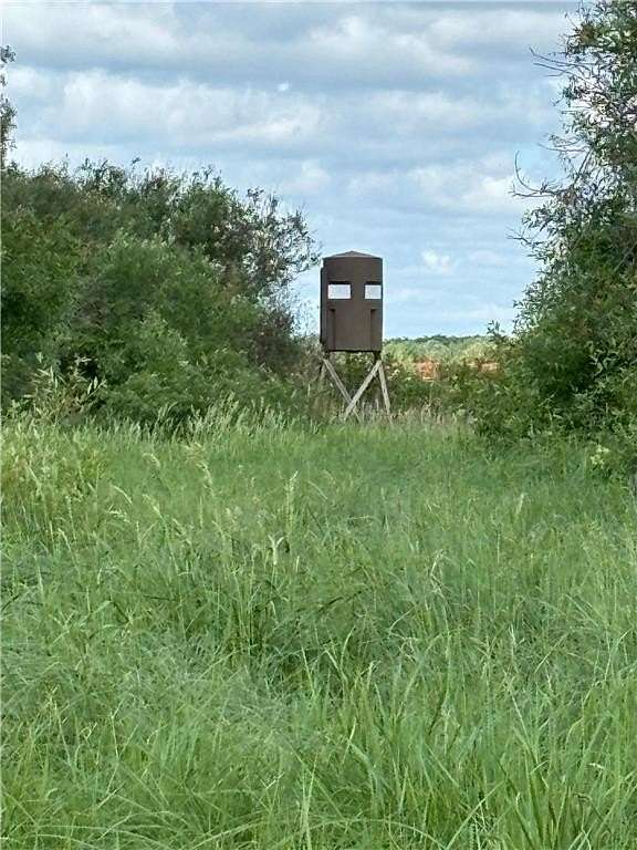 159 Acres of Recreational Land for Sale in Bagley, Minnesota