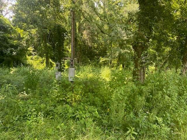 14.91 Acres of Land for Sale in Columbia, Alabama