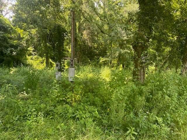 15 Acres of Land for Sale in Columbia, Alabama