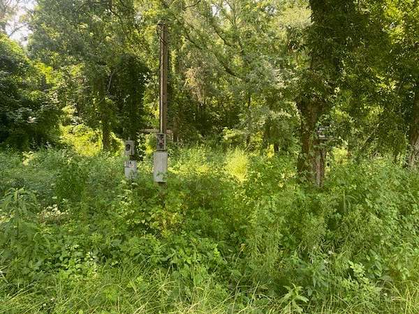 15 Acres of Land for Sale in Columbia, Alabama
