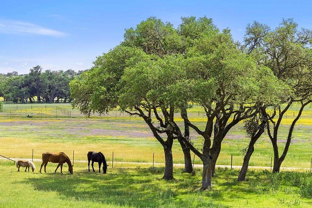 92.05 Acres of Agricultural Land for Sale in Blanco, Texas