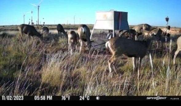 299 Acres of Recreational Land & Farm for Sale in Southland, Texas
