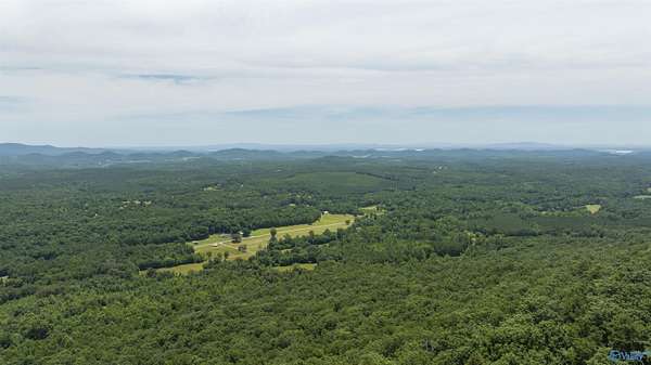 5 Acres of Land for Sale in Gaylesville, Alabama