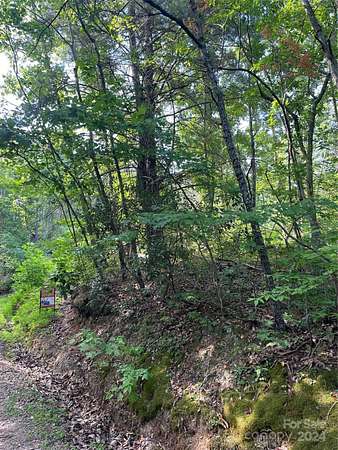 16.7 Acres of Land for Sale in Leicester, North Carolina