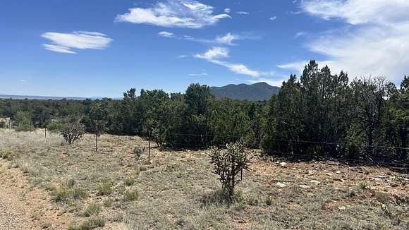 40 Acres of Land for Sale in Stanley, New Mexico