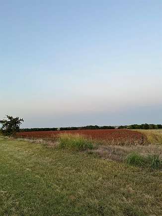 28.45 Acres of Agricultural Land for Sale in Gainesville, Texas