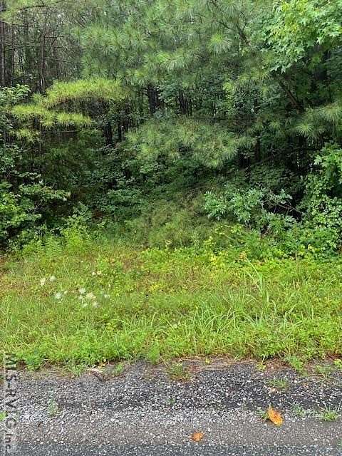 1 Acre of Commercial Land for Sale in Lawrenceville, Virginia