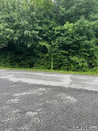 1 Acre of Commercial Land for Sale in Lawrenceville, Virginia
