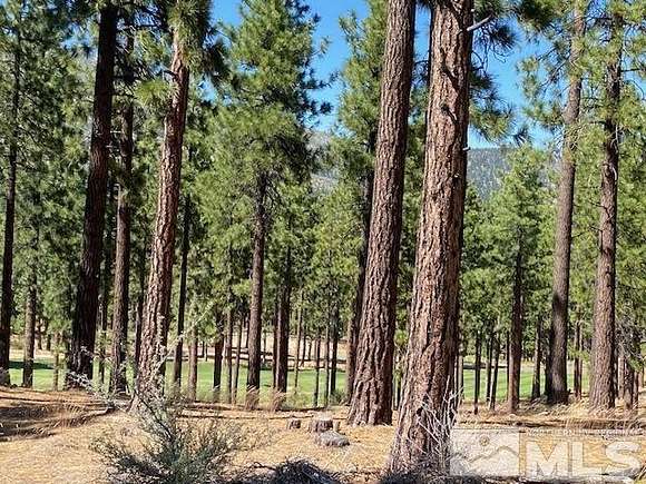 1.73 Acres of Residential Land for Sale in Carson City, Nevada