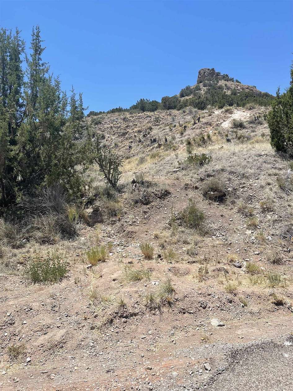 40 Acres of Land for Sale in Bent, New Mexico