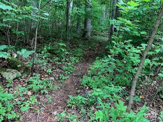 0.52 Acres of Land for Sale in Montreat, North Carolina