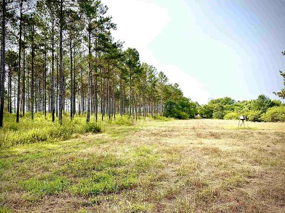 558.4 Acres of Land for Sale in Carbon Hill, Alabama