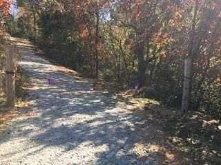 11.4 Acres of Land for Sale in Clever, Missouri