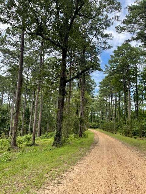 12 Acres of Land for Sale in Jena, Louisiana