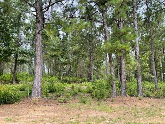 15 Acres of Land for Sale in Jena, Louisiana