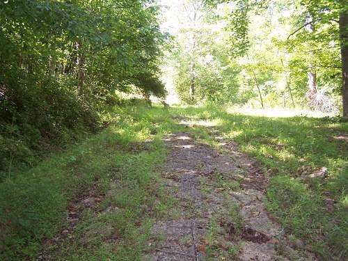 21.88 Acres of Recreational Land for Sale in Chloe, West Virginia