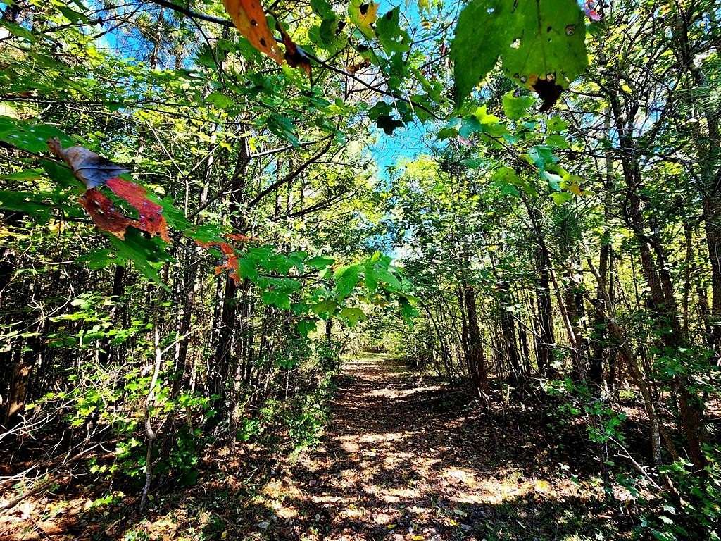 20 Acres of Land with Home for Sale in Blackstone, Virginia