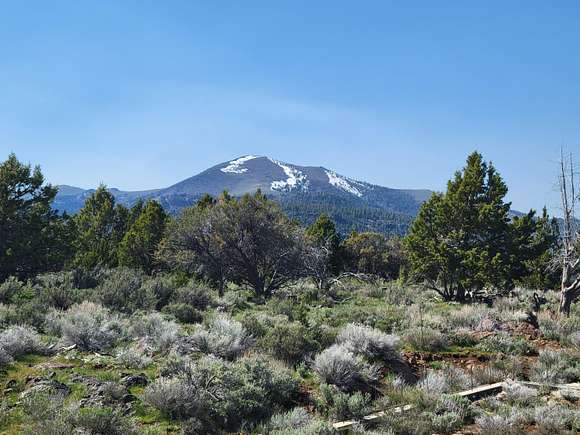 40 Acres of Land for Sale in Plush, Oregon
