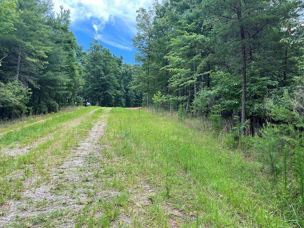 Land for Sale in Murphy, North Carolina