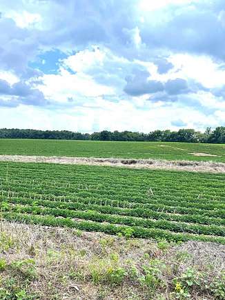 17.56 Acres of Land for Sale in Cordova, South Carolina