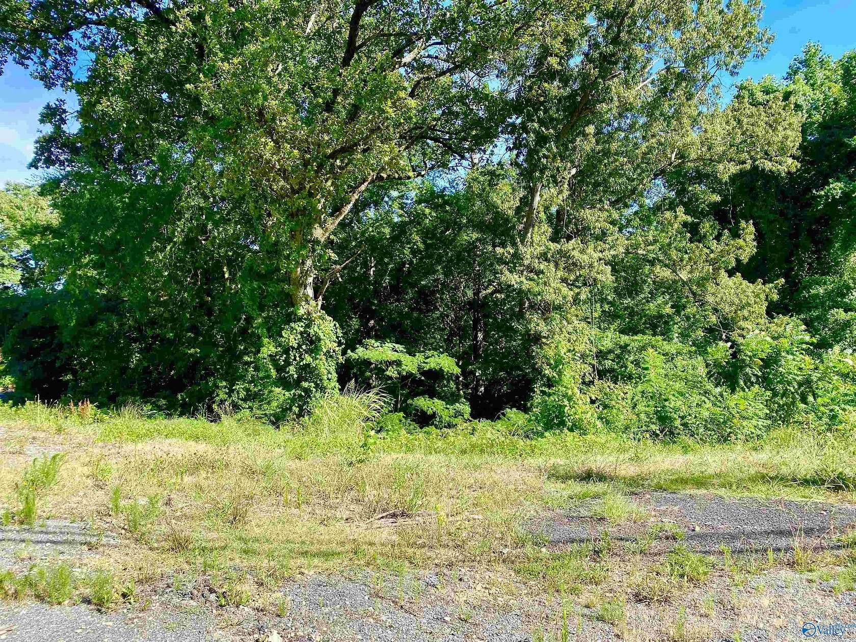 1 Acres of Land for Sale in Guntersville, Alabama