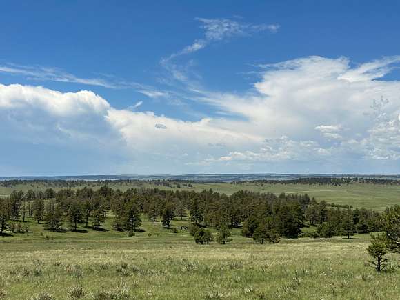 36.9 Acres of Recreational Land for Sale in Ramah, Colorado