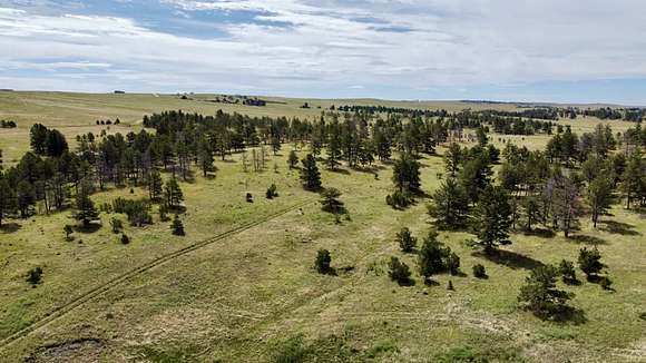 35.11 Acres of Recreational Land for Sale in Ramah, Colorado