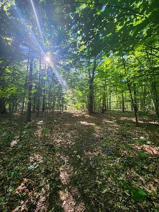 11.9 Acres of Recreational Land for Sale in Beaverton, Michigan