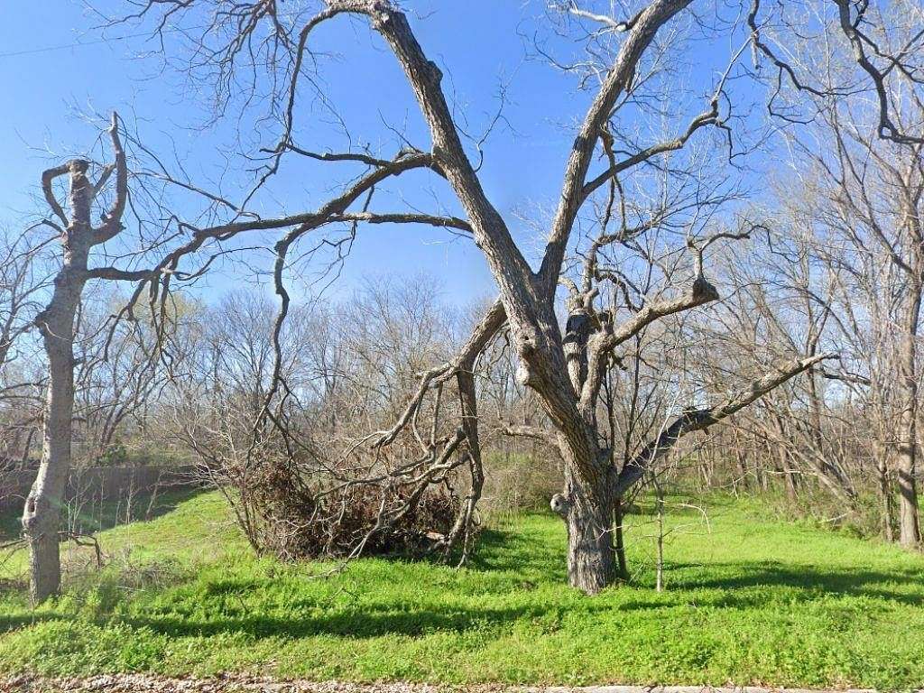 0.155 Acres of Land for Sale in Corsicana, Texas