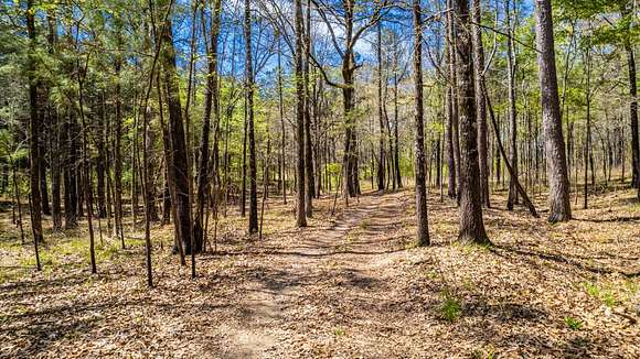 173 Acres of Recreational Land for Sale in Monticello, Arkansas