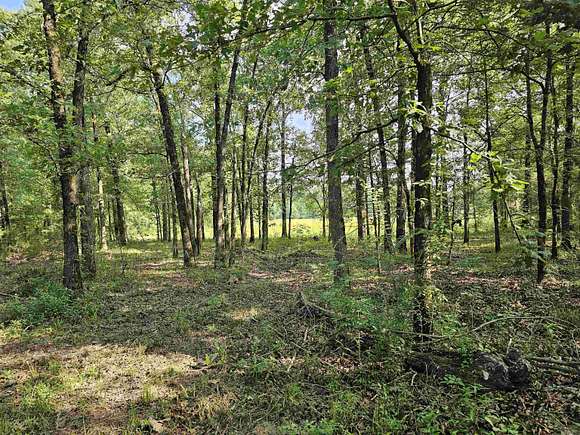 9.34 Acres of Residential Land for Sale in Gillham, Arkansas