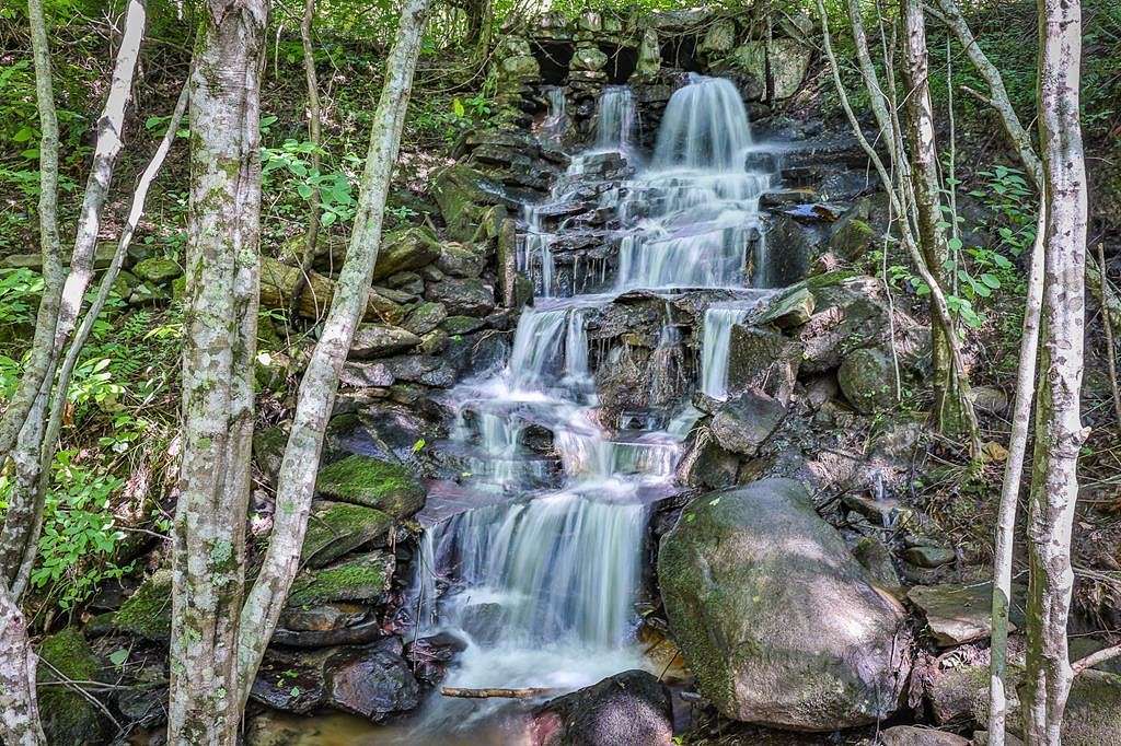 51.59 Acres of Land for Sale in Cherry Log, Georgia